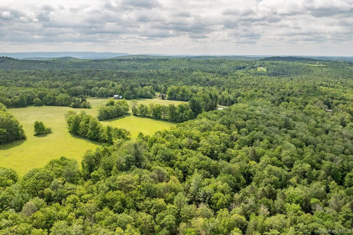 115 Moore Rd, Woodbourne, NY  - Image #1