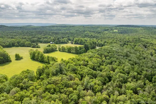 115 Moore Rd, Woodbourne, NY 