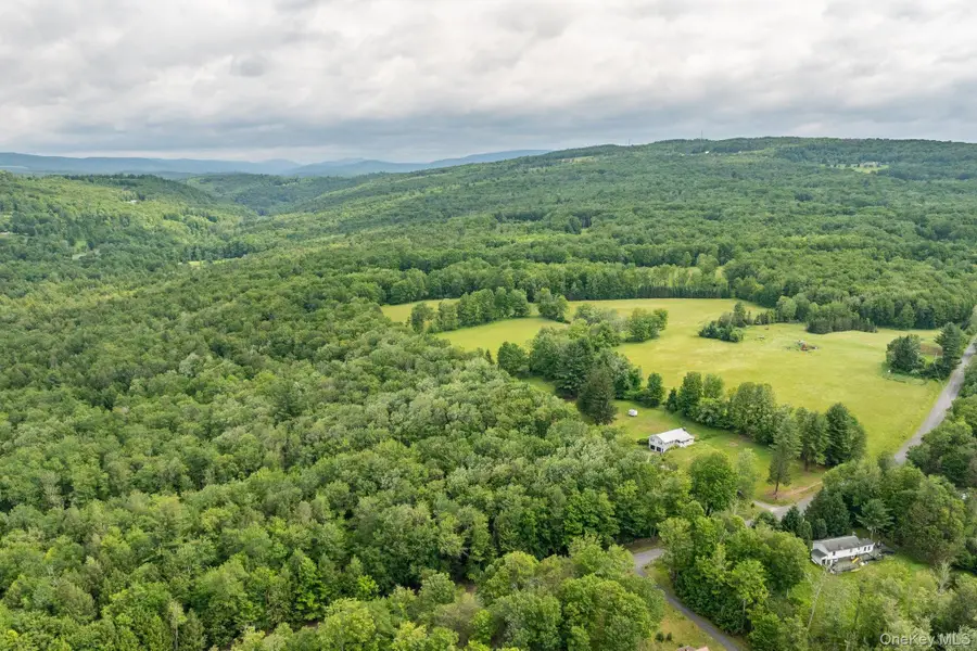 115 Moore Rd, Woodbourne, NY  - Image #2