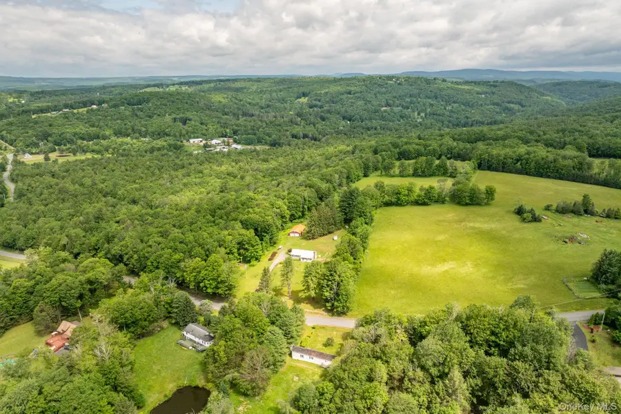 115 Moore Rd, Woodbourne, NY  - Image #3