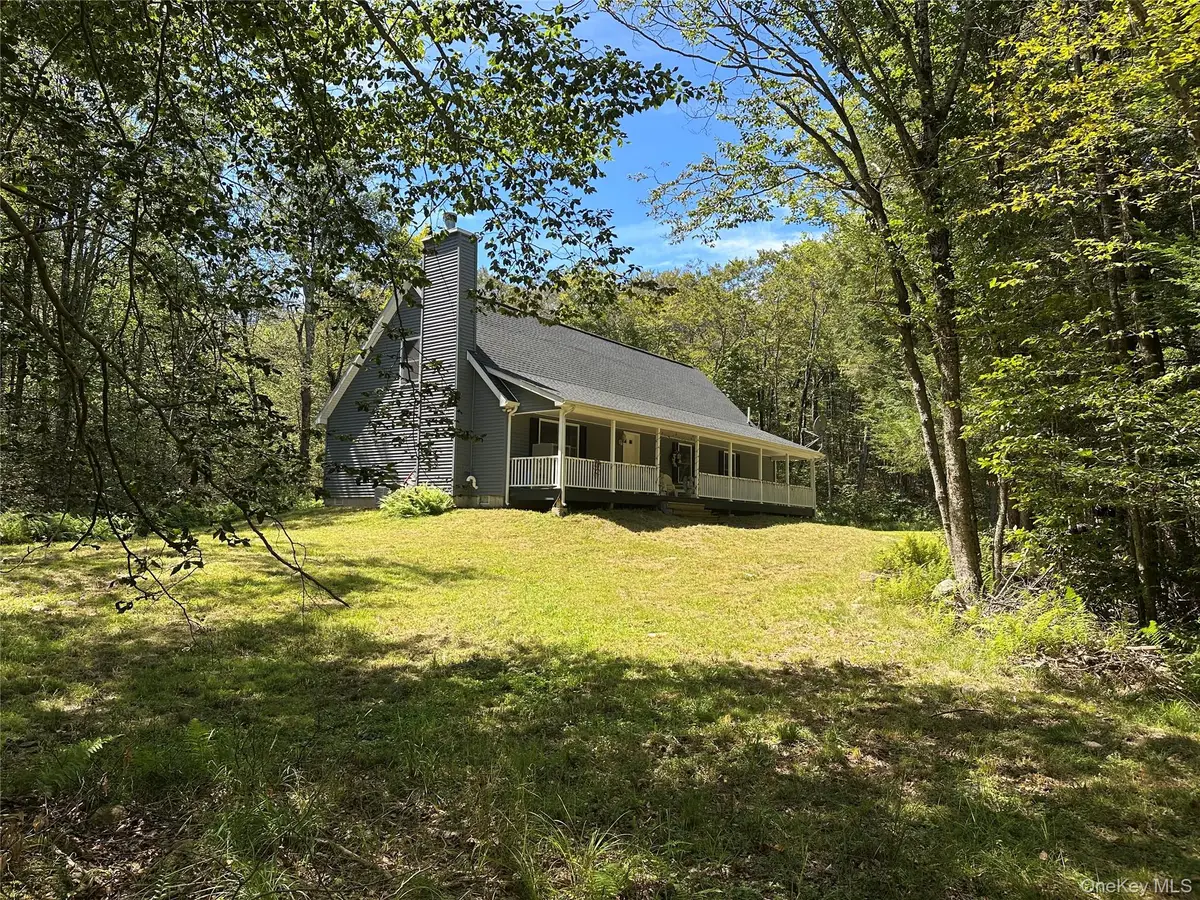 64 Schleiremacher, Livingston Manor, NY 12758 - #1