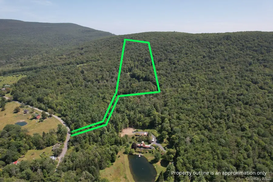 TBD Macdaniel Road, Bearsville, NY 12409 - Image #2