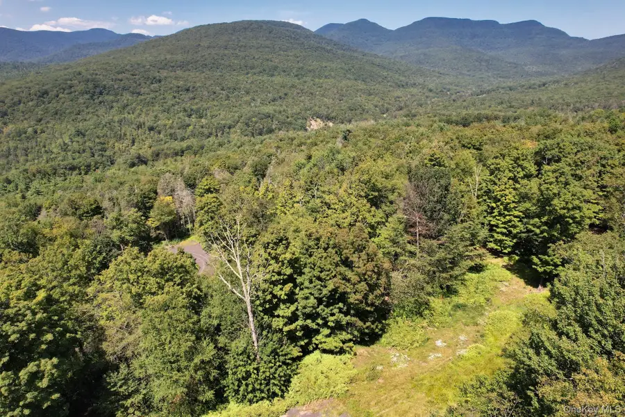 TBD Macdaniel Road, Bearsville, NY 12409 - Image #3