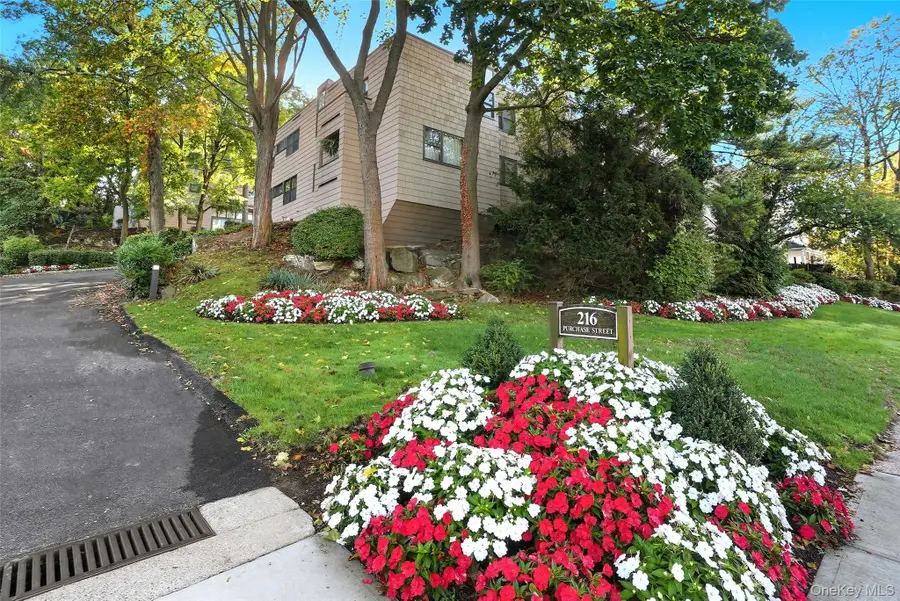 216 Purchase Street #P, Rye, NY 10580 - Image #2