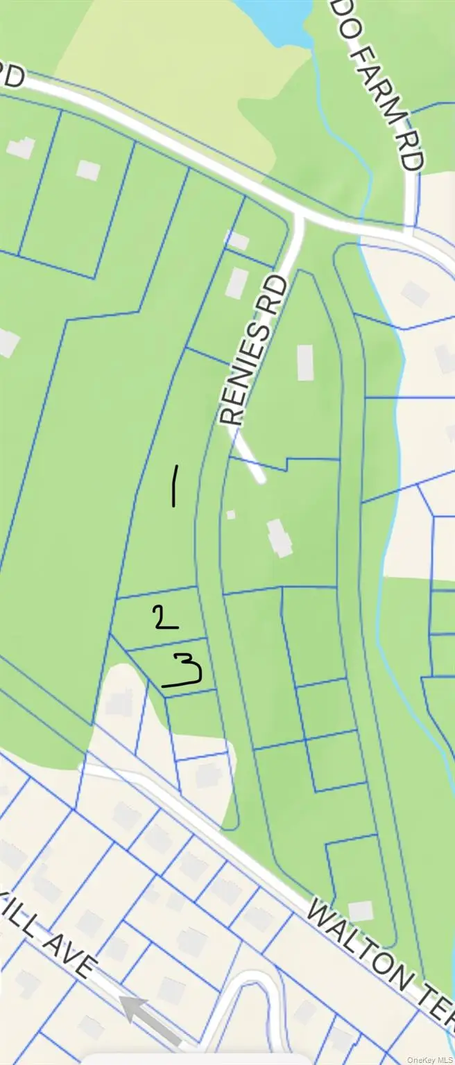 Renies Road, Monroe, NY 10918 - Image #2