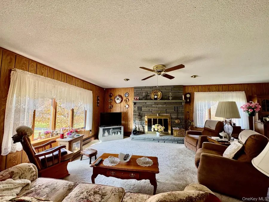 17 Watson, Roscoe, NY 12776 - Image #2