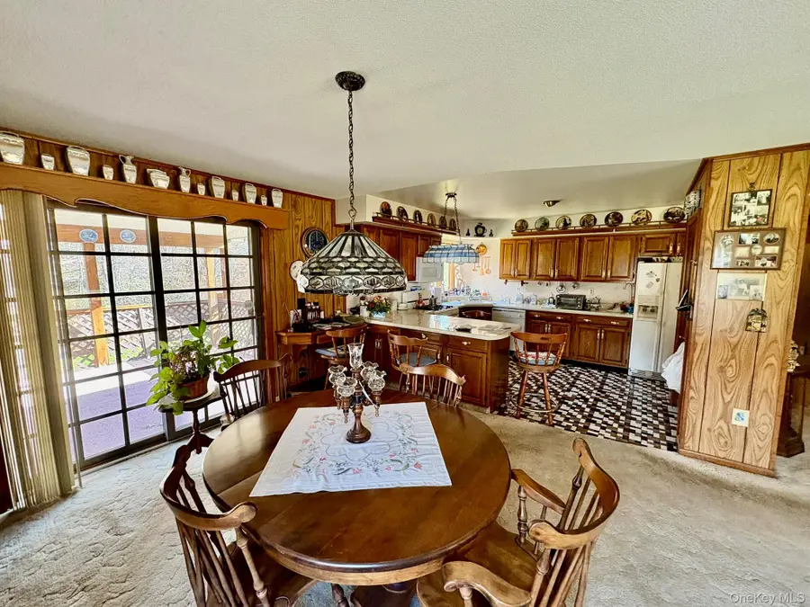 17 Watson, Roscoe, NY 12776 - Image #3