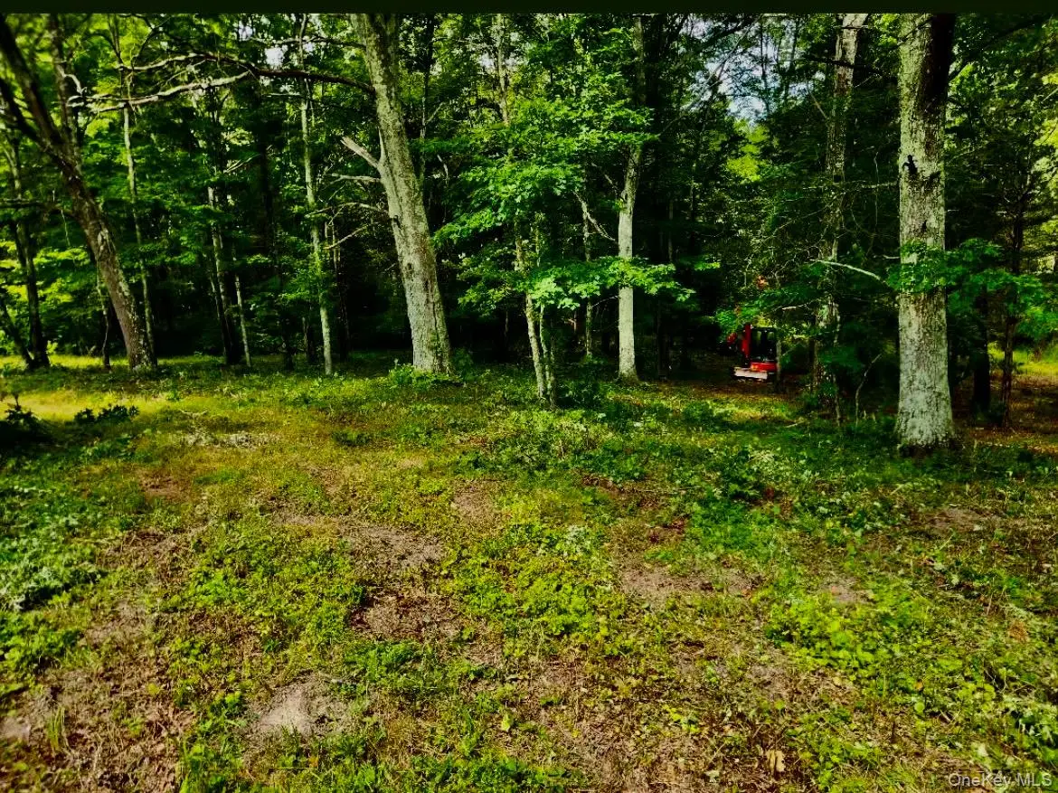 12 Talleur Road, Clinton Corners, NY  - Image #1