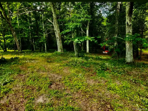 12 Talleur Road, Clinton Corners, NY 