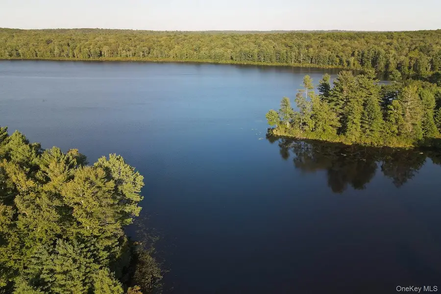 2 Lena Road, Forestburgh, NY  - Image #2