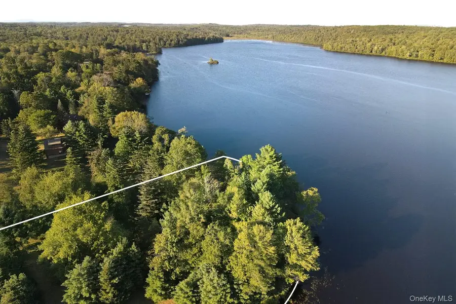 2 Lena Road, Forestburgh, NY  - Image #3