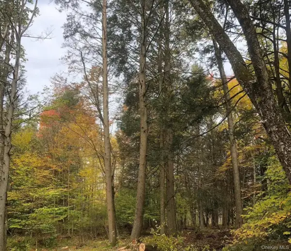 126 Devany Road, Ferndale, NY 12734