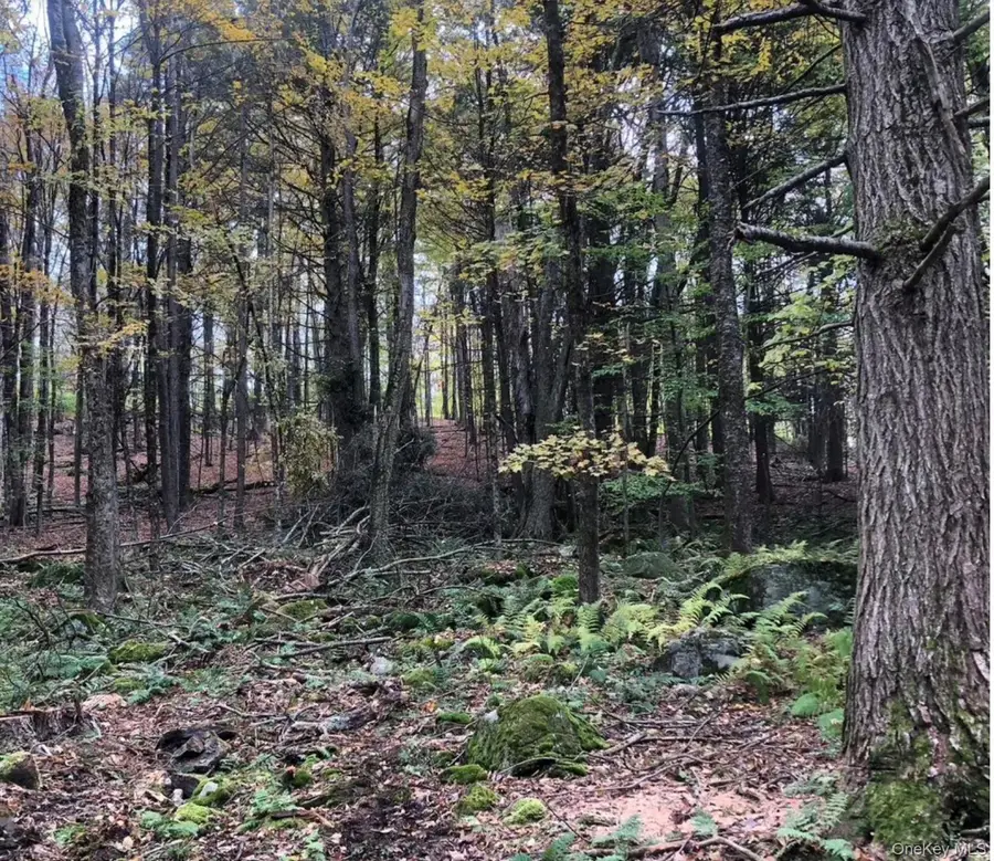 126 Devany Road, Ferndale, NY 12734 - Image #2