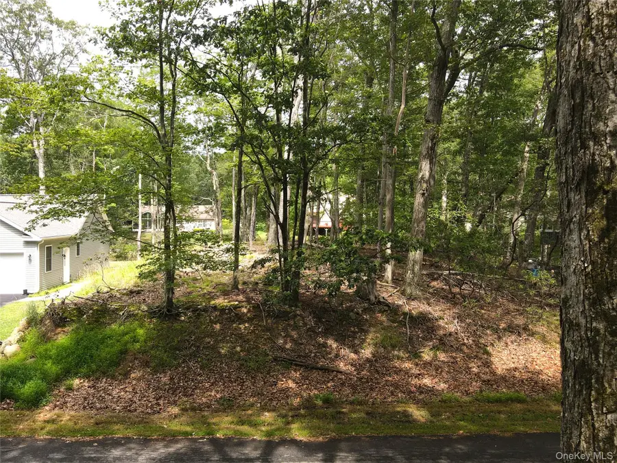 32 Pond Lane, Rock Hill, NY 12775 - Image #3