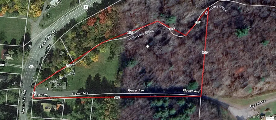 Flower Ave. & State Route 55, Bethel, NY 12720 - Image #2