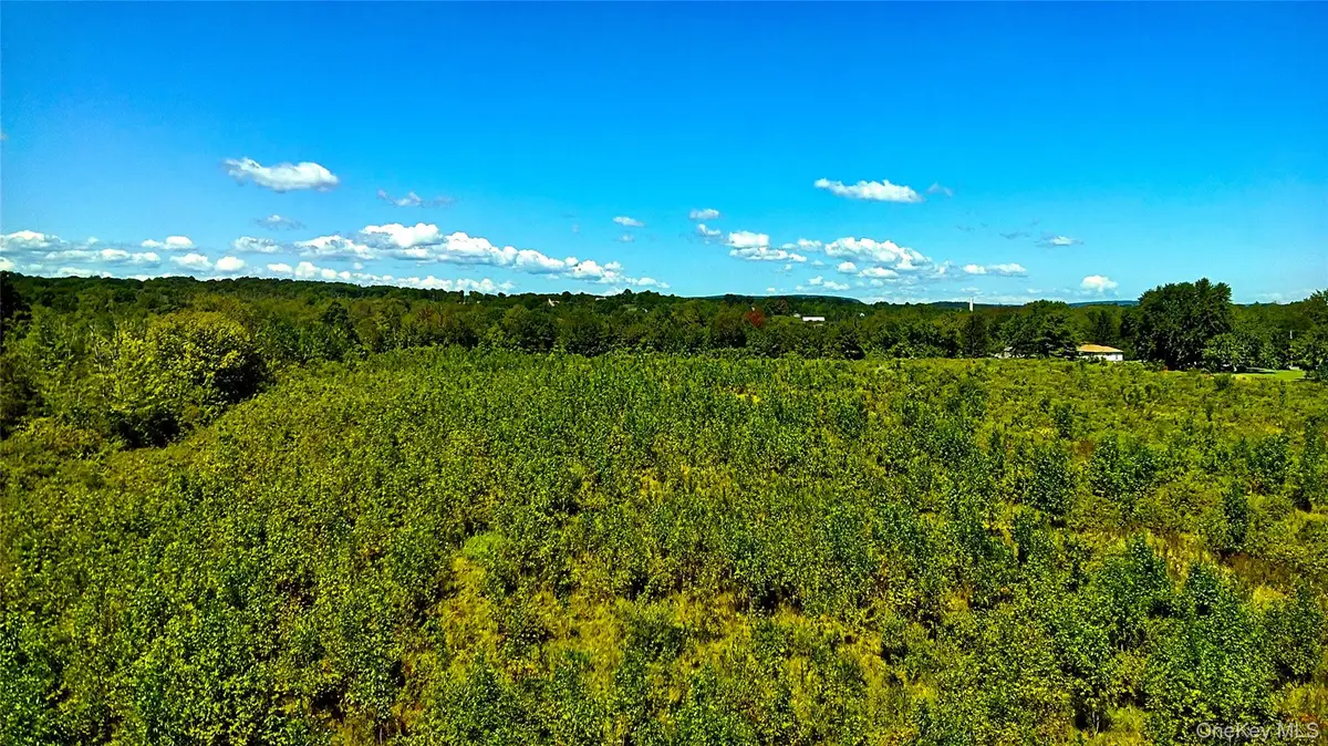 00 N Vernon, Athens, NY  - Image #1