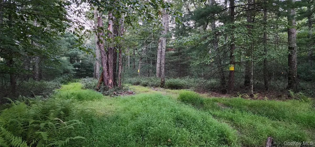 3 Mountain Top Lane, Huguenot, NY 12746 - Image #1