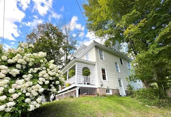 534 Old Route 17, Livingston Manor, NY 12758