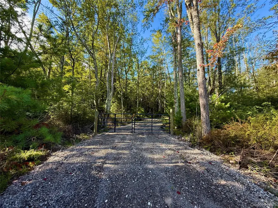 Mt Prosper Road, Wurtsboro, NY 12790 - Image #2