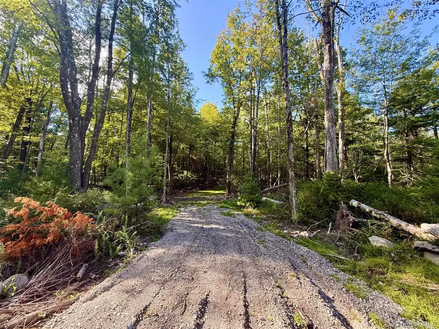 Mt Prosper Road, Wurtsboro, NY 12790 - Image #3