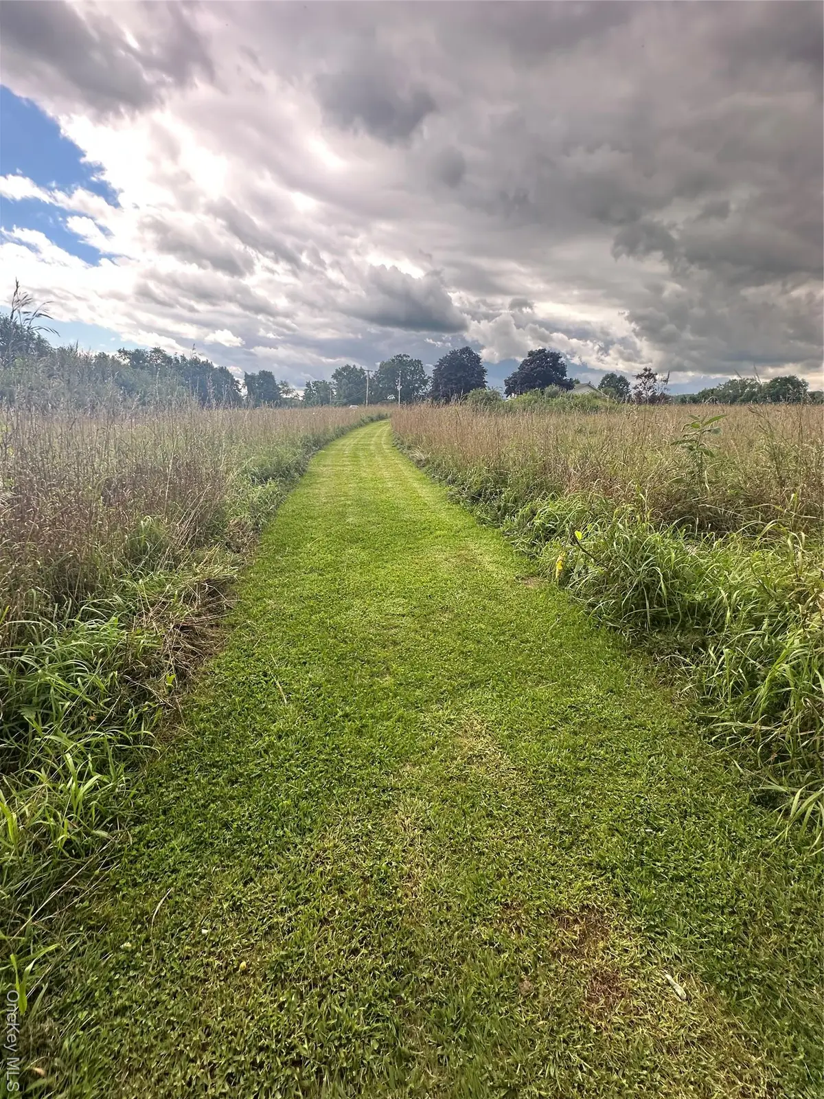 Beilke Road, Millerton, NY 12546 - Image #1