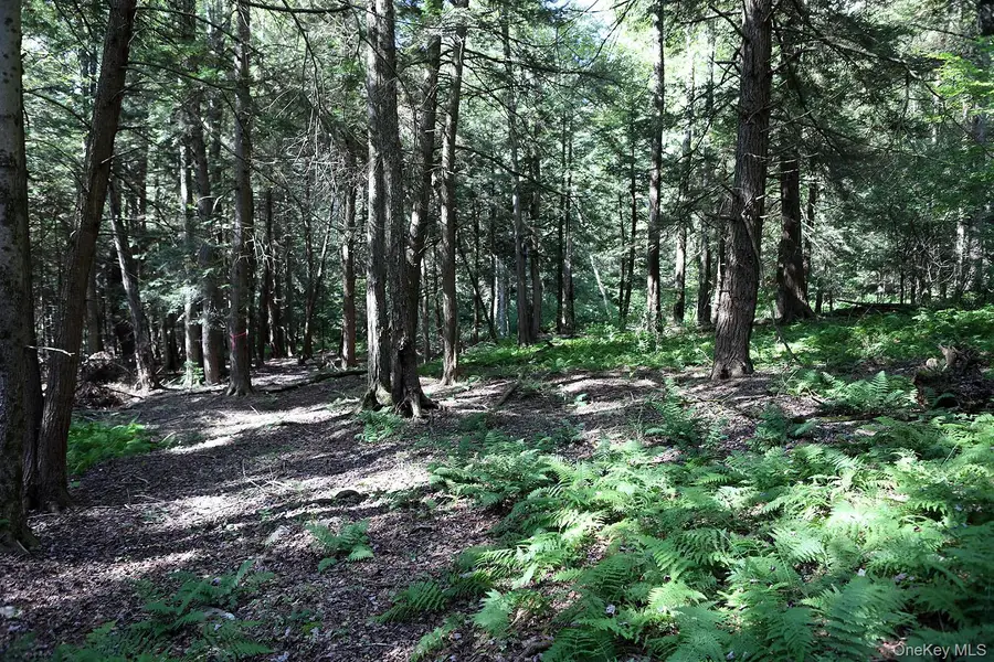 TBD George Segar Road, Swan Lake, NY 12783 - Image #3