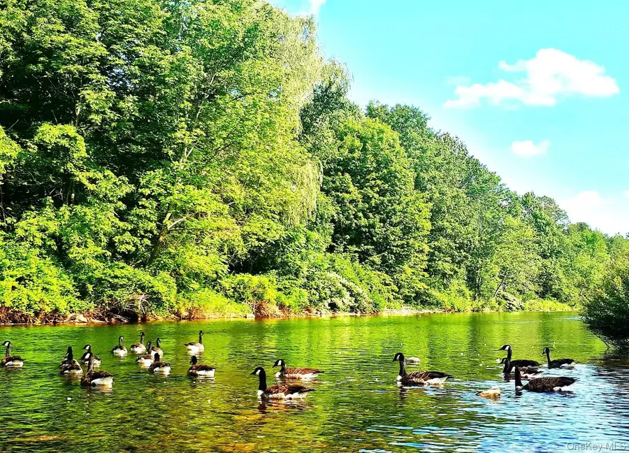 Address Withheld By Seller, Woodbourne, NY 12788 - Image #3