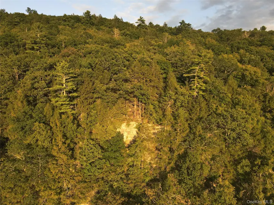 Zane Grey Way, Barryville, NY 12719 - Image #3