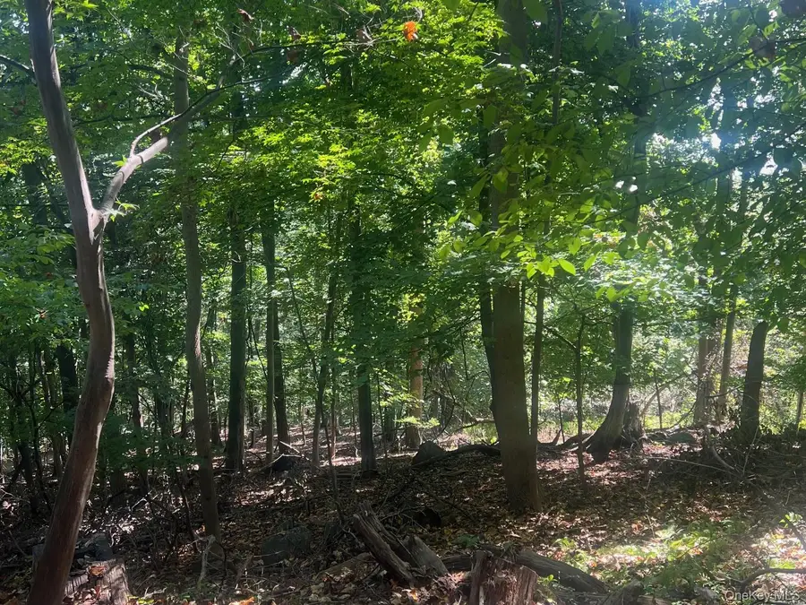 903 Route 9w S, Nyack, NY 10960 - Image #3