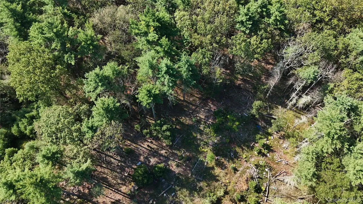 53 Deer Hill Road, Wurtsboro, NY 12790 - Image #1