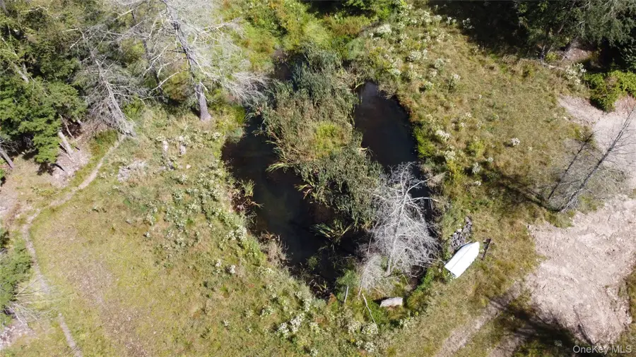 226 Goff Road #24, Livingston Manor, NY 12758 - Image #2