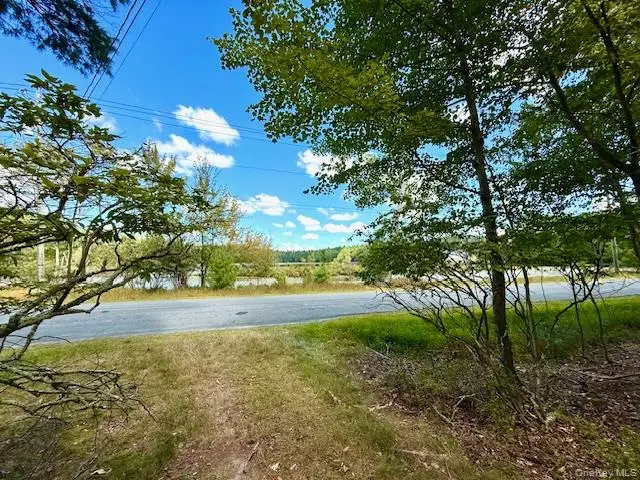 469 White Road, Glen Spey, NY 12737 - Image #2