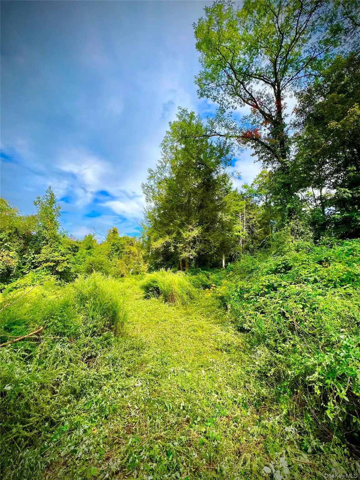 890 Route 312, Brewster, NY 10509 - Image #1