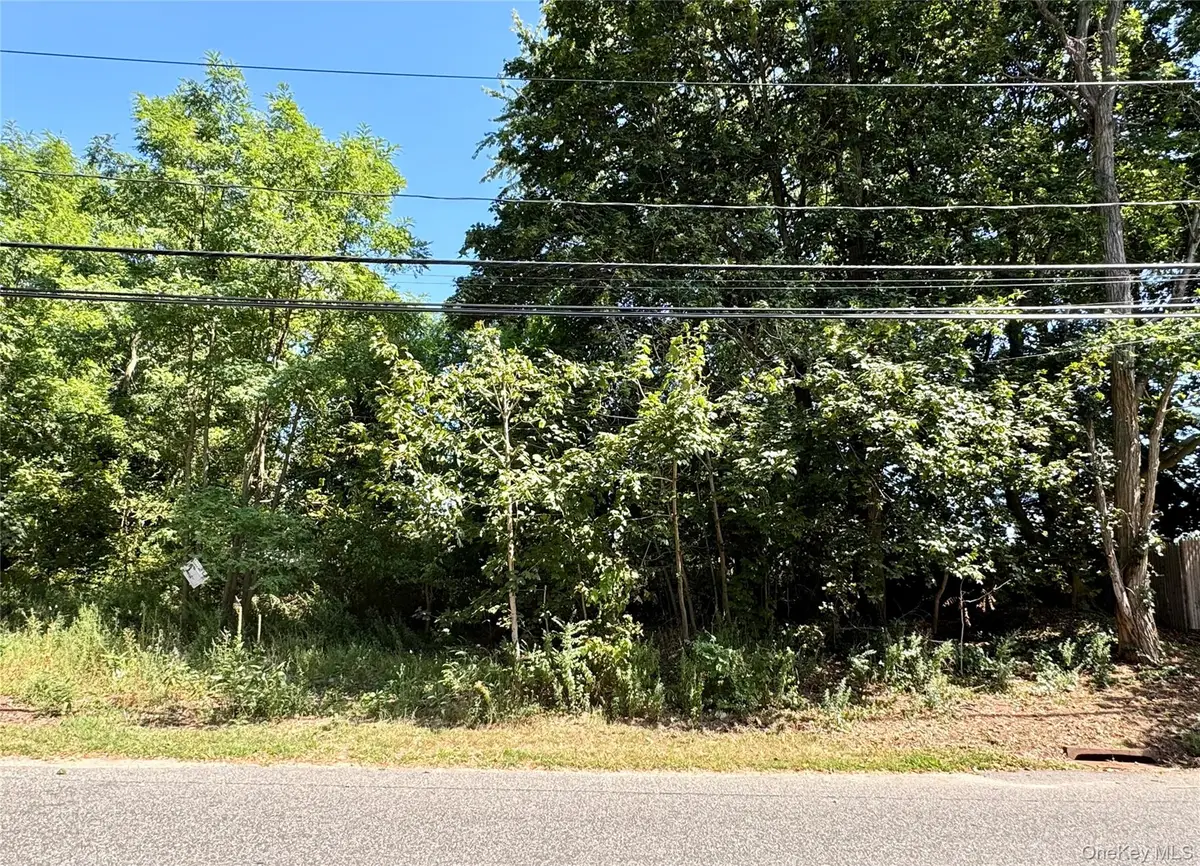 #189,#191 Mount Vernon Avenue, Medford, NY 11763 - Image #1