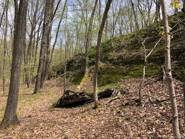 Lily Lake Road, Highland, NY 12528 - #3