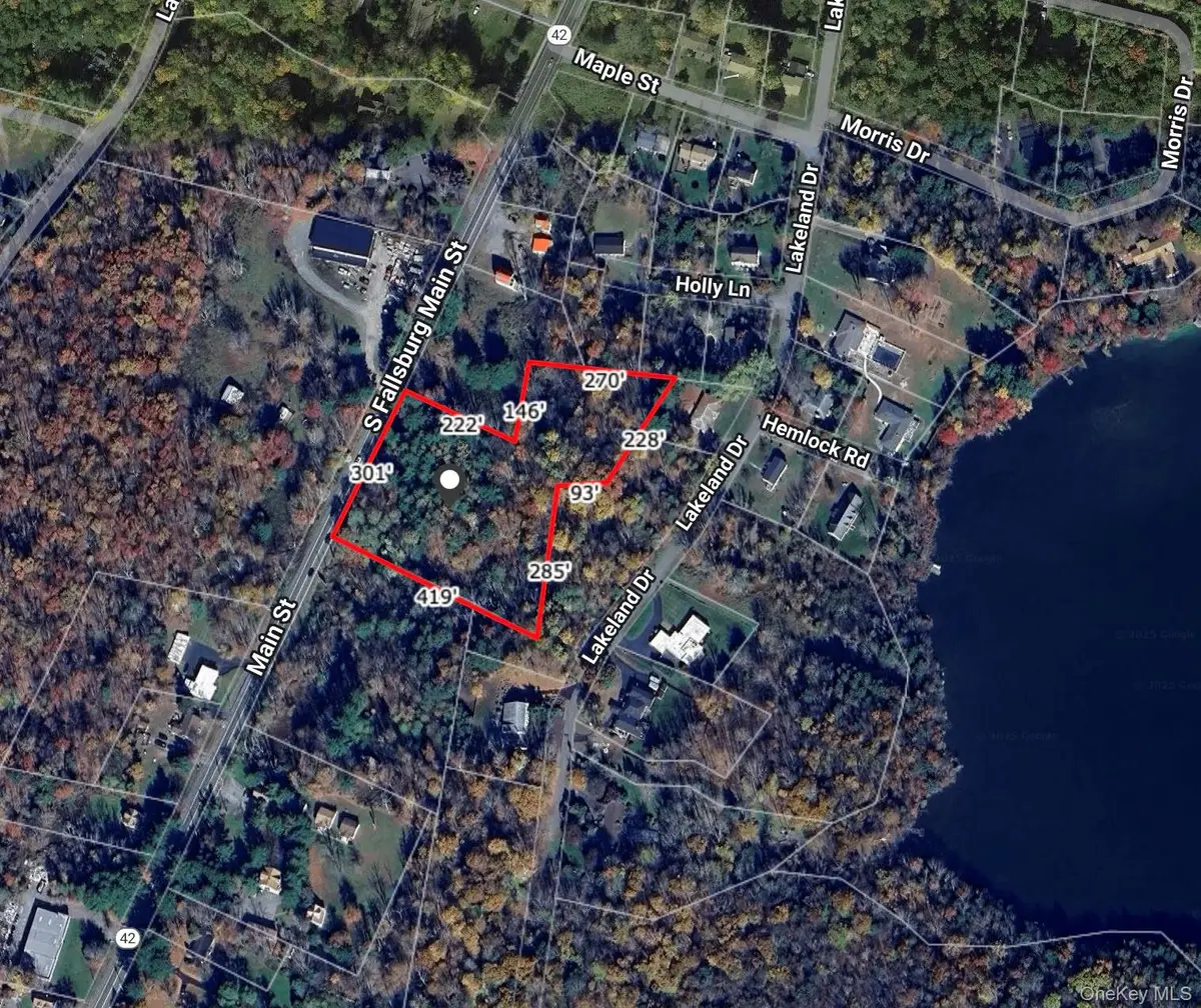 Hway 42, Fallsburg, NY 12733 - Image #1