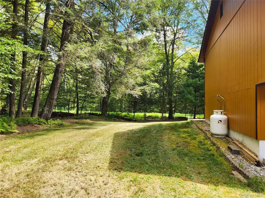 19 Gina Lane, Smallwood, NY 12778 - Image #2