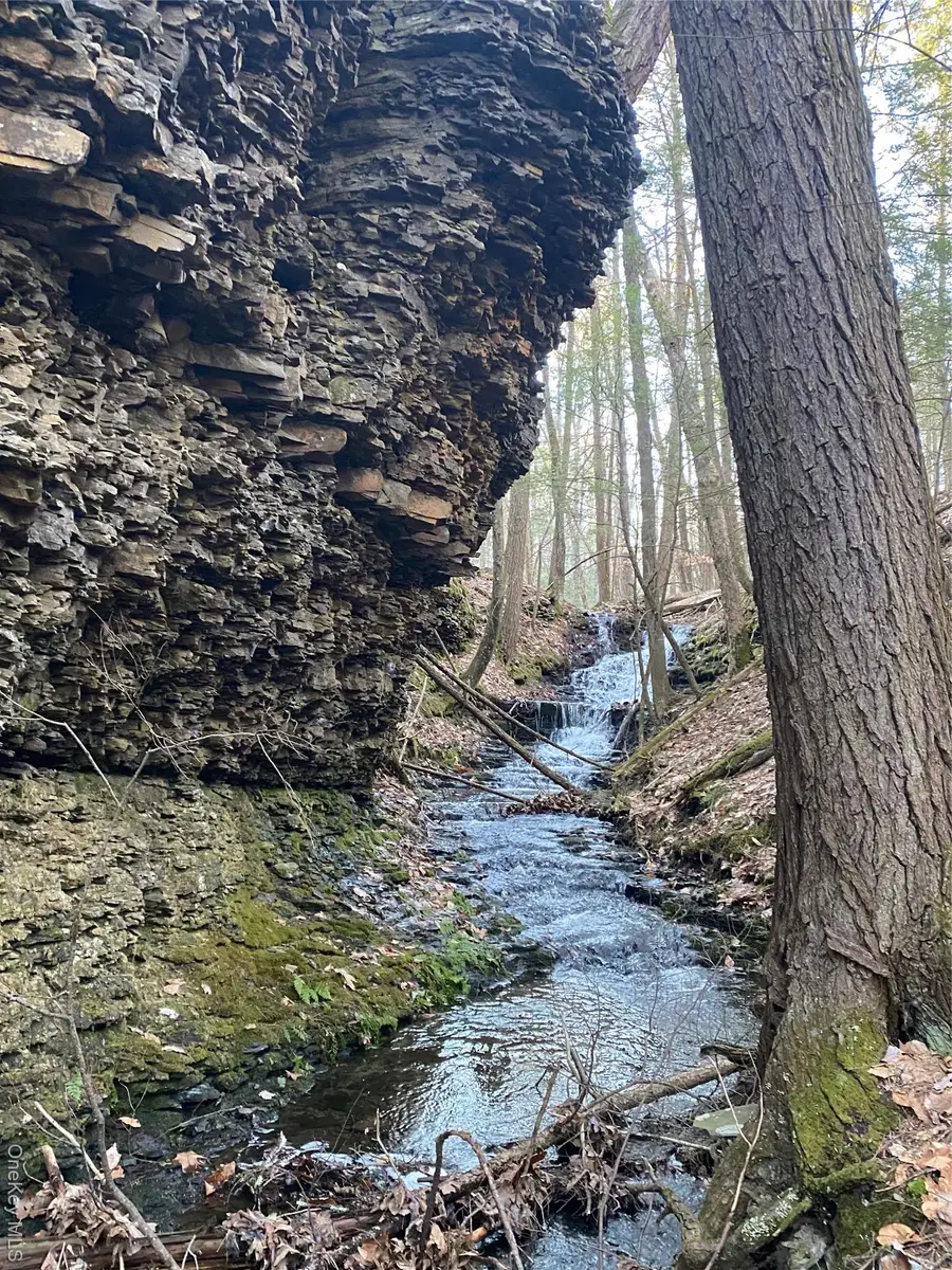 0 Dug Hill Road, Hurley, NY 12443 - Image #2