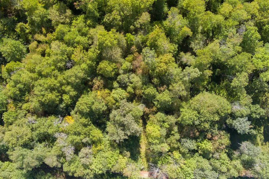 Maccabee Road, Roscoe, NY  - Image #2