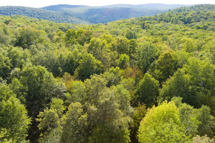 Maccabee Road, Roscoe, NY  - Image #3