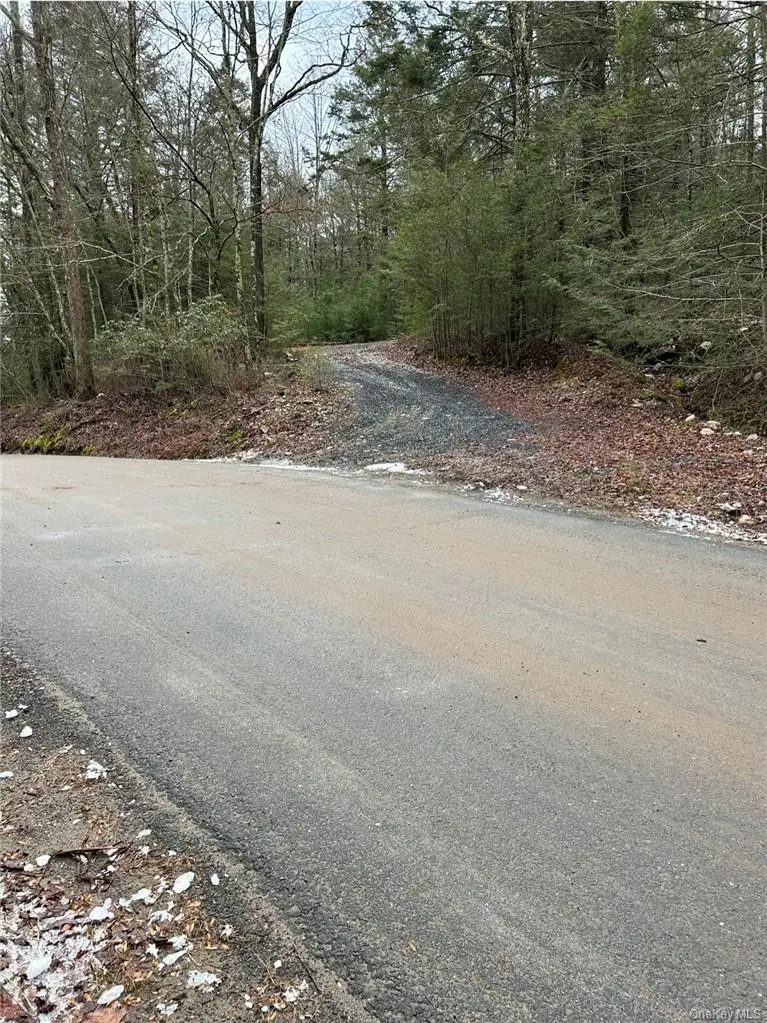 145 Brandt Road, Cuddebackville, NY 12729 - Image #3