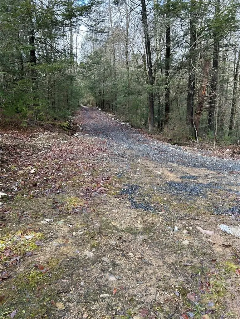 143 Brandt Road, Cuddebackville, NY 12729 - Image #1