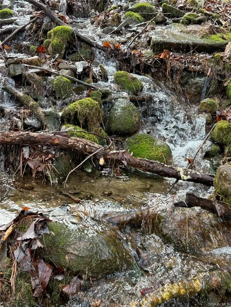 143 Brandt Road, Cuddebackville, NY 12729 - Image #2