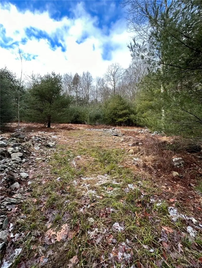 143 Brandt Road, Cuddebackville, NY 12729 - Image #3