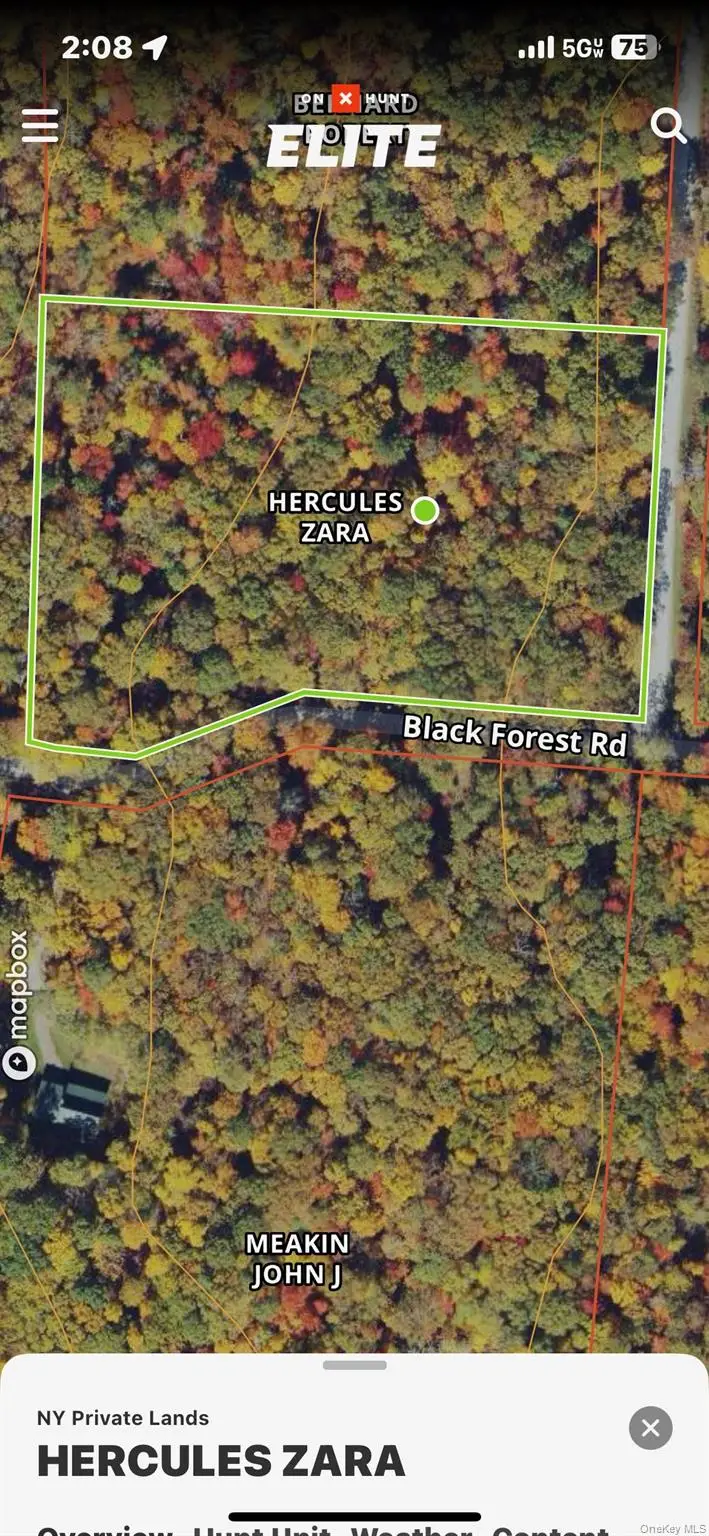 Black Forest Road, Glen Spey, NY 12737 - Image #1