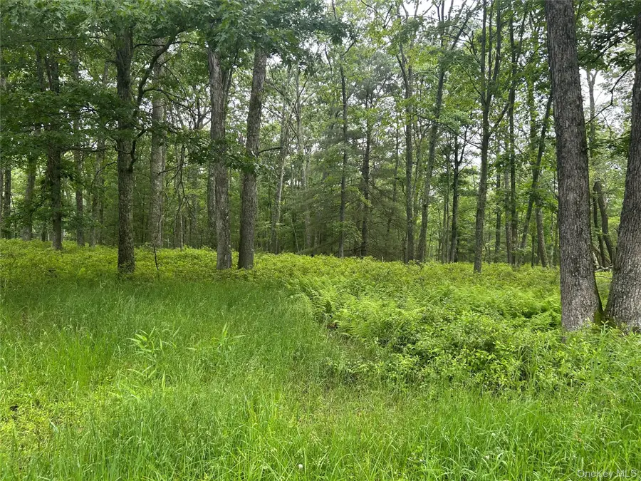 Black Forest Road, Glen Spey, NY 12737 - Image #2