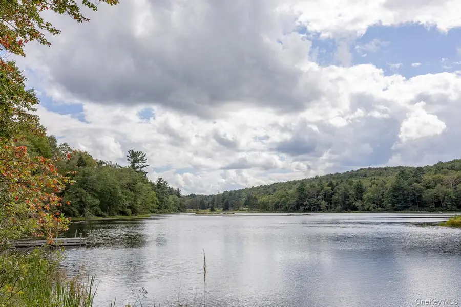 108 Alexander Drive, Livingston Manor, NY 12758 - Image #3