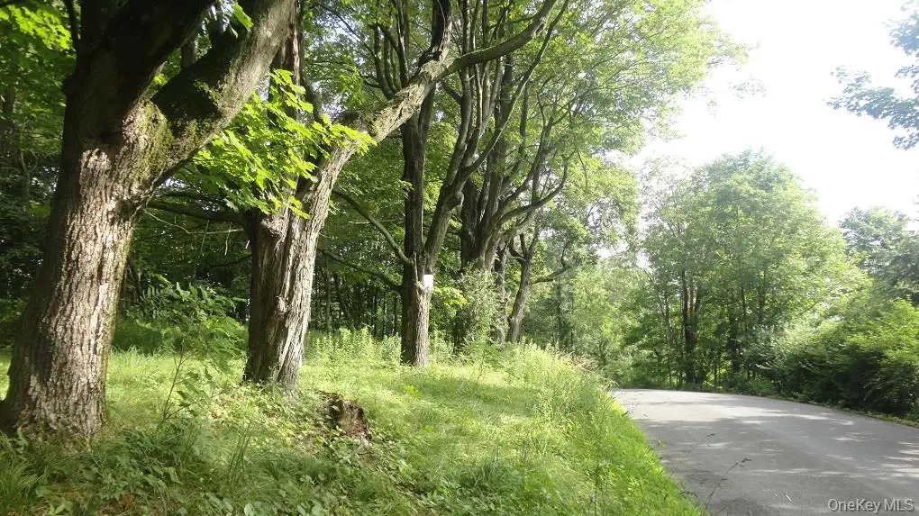 Henry Road, Cragsmoor, NY 12420 - Image #1