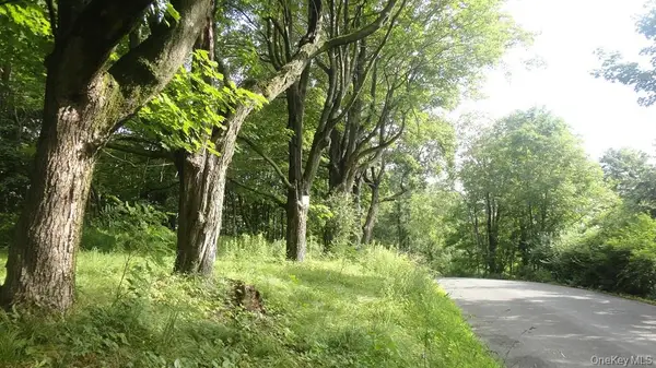 Henry Road, Cragsmoor, NY 12420