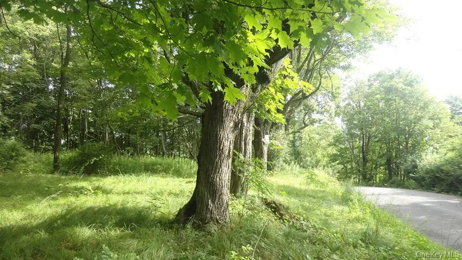 Henry Road, Cragsmoor, NY 12420 - Image #2